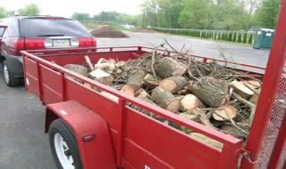 Trailer load of firewood being dropped off for use by others versus grinding it up for mulch.